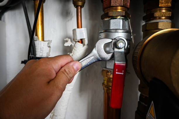 Best Clogged Drain Plumber  in Coushatta, LA